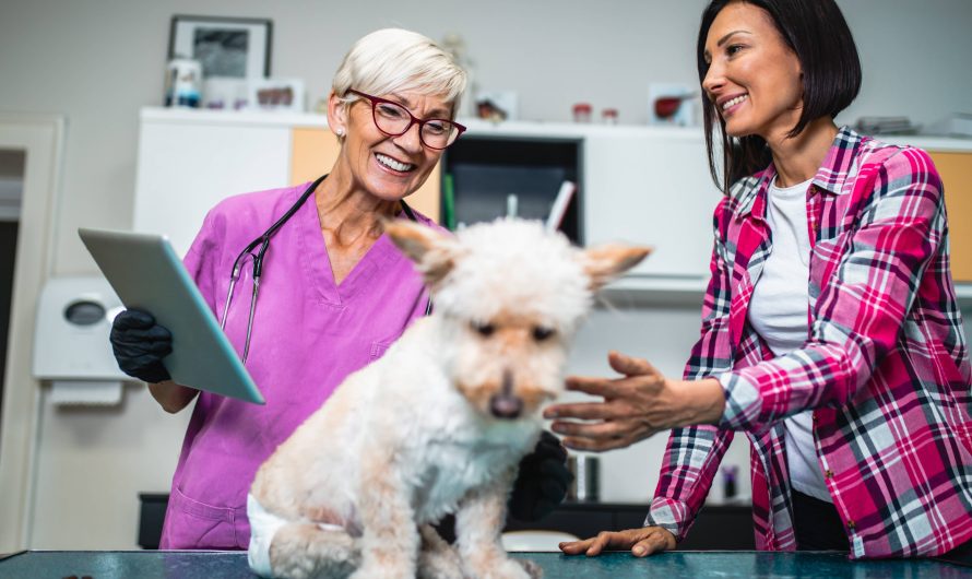 A Veterinary Science Degree: A Gateway to a World of Opportunities