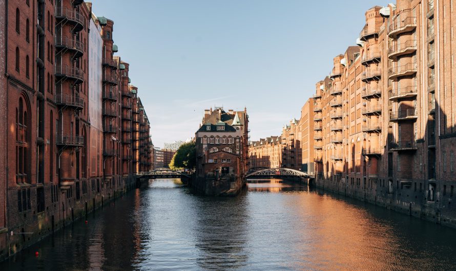 What to Learn in World History?